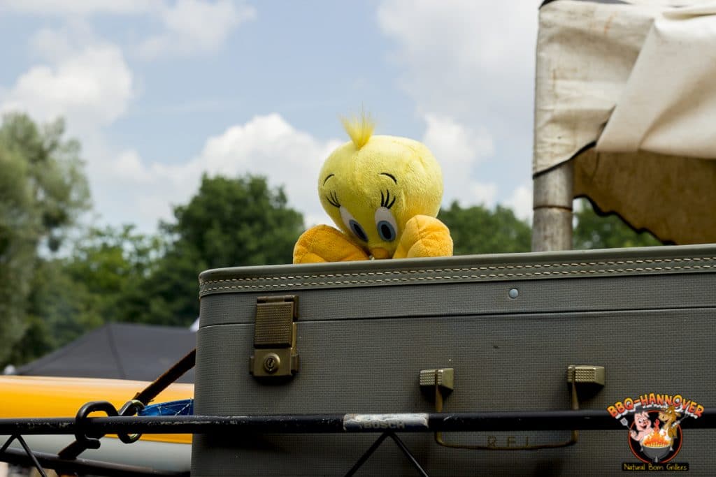 Tweety auf Sandras Käfer