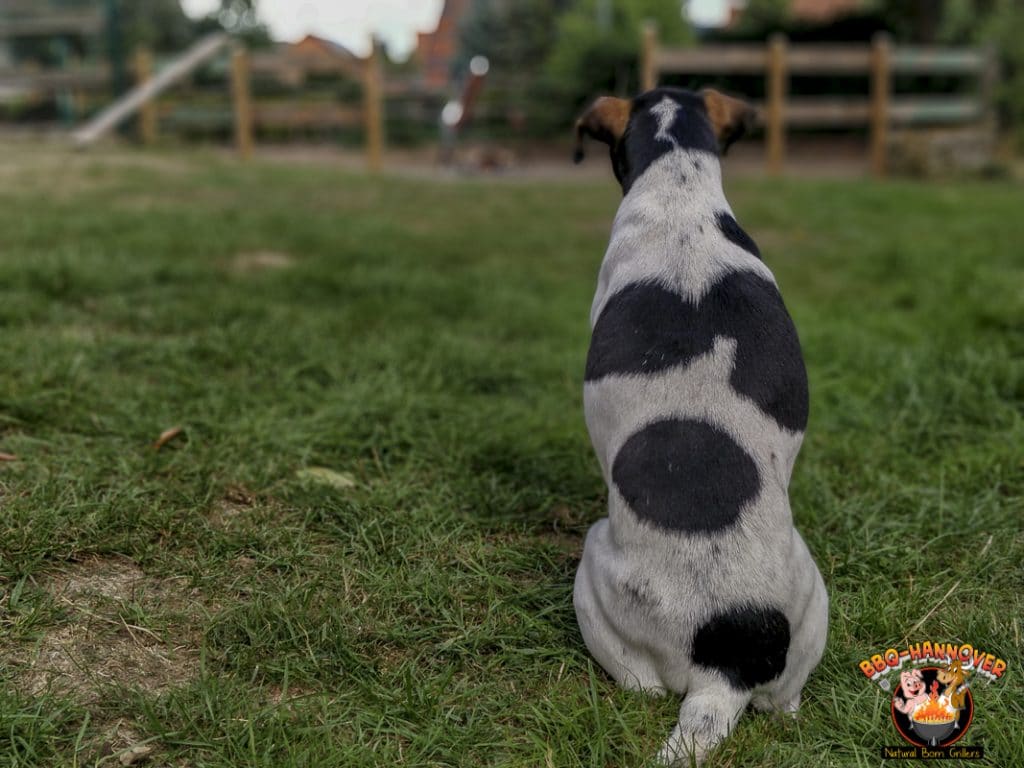 Jule hat das Asado im Blick